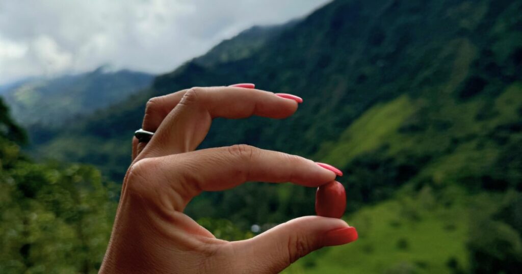 colombia-travel-diary